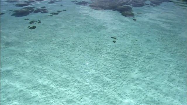 Утомлённые летом смотреть онлайн