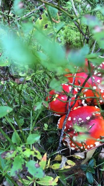 В тесноте но не в обиде смотреть онлайн