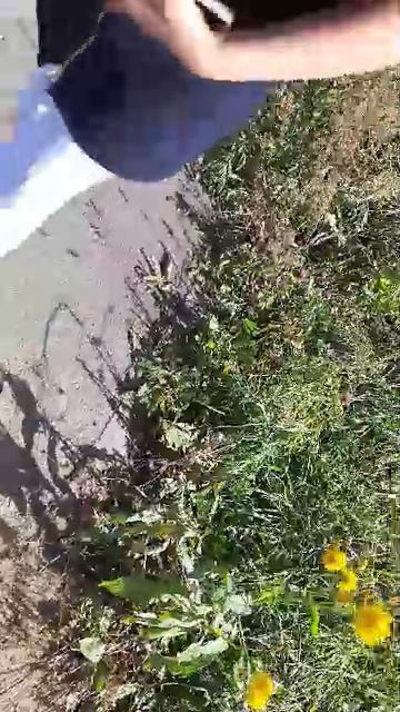 я иду домой со школы