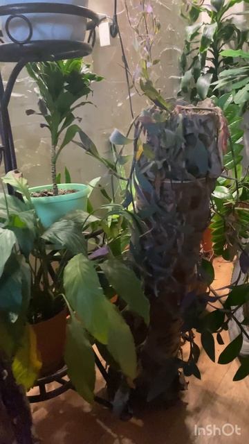 Создаем осеннее настроение 🍁🤗🍂