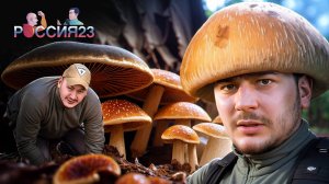 Грибы. Россия23