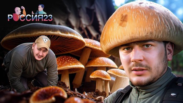 Грибы. Россия23