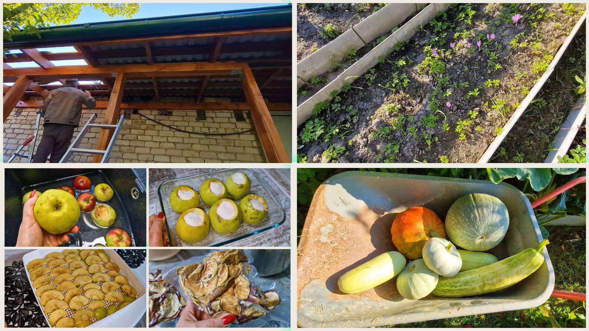 Купили машинёнку. Срезаю тыквы и кабачки перед заморозком. Перерабатываю яблоки смотреть онлайн