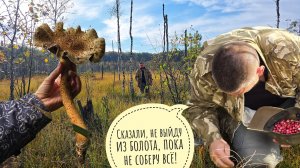 Пошли мы в болото и набрали клюквы. Артёму пришлось собирать ягоды, претерпевать, лишаться комфорта