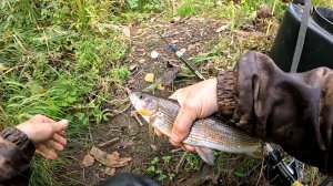 Рыбалка на хариуса, Сентябрь.