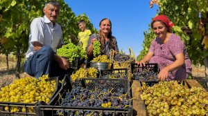Сладкие угощения для детей: варенье и компот. Деревенское утро и урожай 🌄