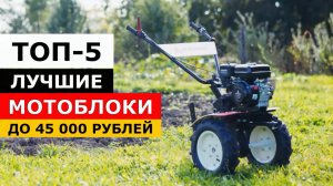 5 Лучших Мотоблока Среднего Класса До 45 000 Рублей