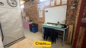 Бизнес На Выращивании Грибов В Гараже