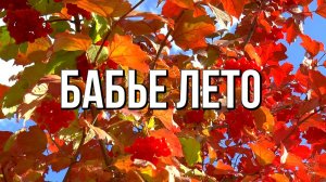Вновь бабье лето ходит по дворам 🍂