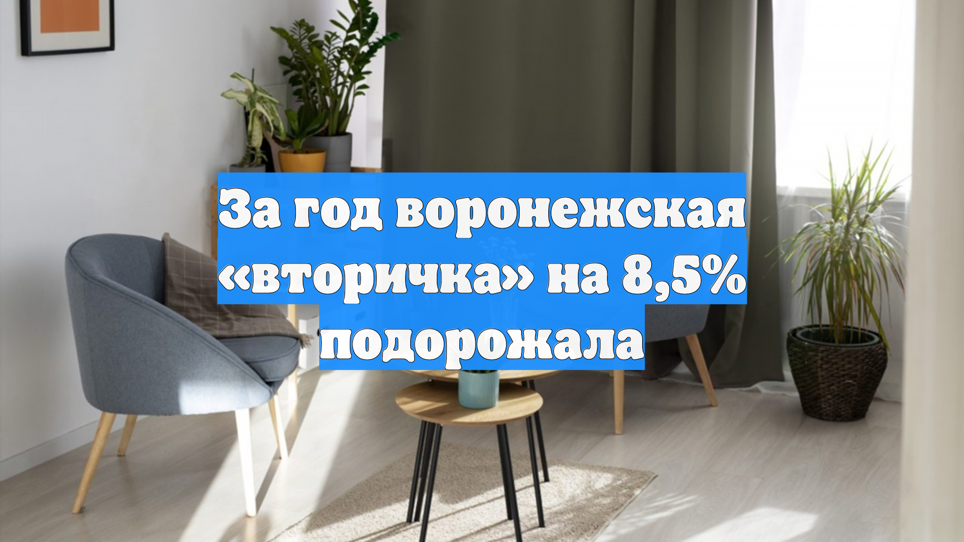 За год воронежская «вторичка» на 8,5% подорожала смотреть онлайн