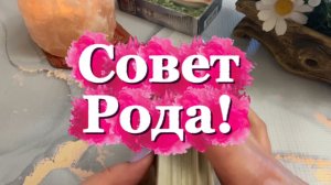 Совет Рода🔮💫❤️Таро