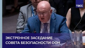 Экстренное заседание Совета Безопасности ООН