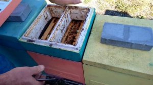 Обстановка в нуклеусах