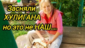КУПИЛИ ДОМ В ДЕРЕВНЕ | ХУЛИГАН НО НЕ НАШ | Дом в деревне | Деревенские будни