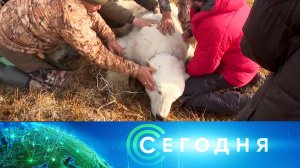 «Сегодня»: 22 сентября 2025 года. 16:00 | Выпуск новостей | Новости НТВ