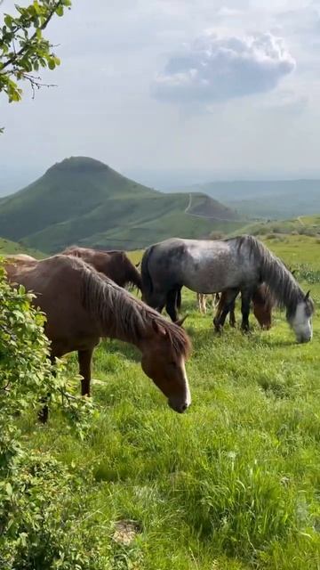 Привет из гор