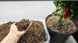 МАЛО КТО ЗНАЕТ ЧТО ГРУНТ ДЛЯ ДОМАШНЕГО ОГОРОДА ДОЛЖЕН БЫТЬ ТОЛЬКО ТАКОЙ!