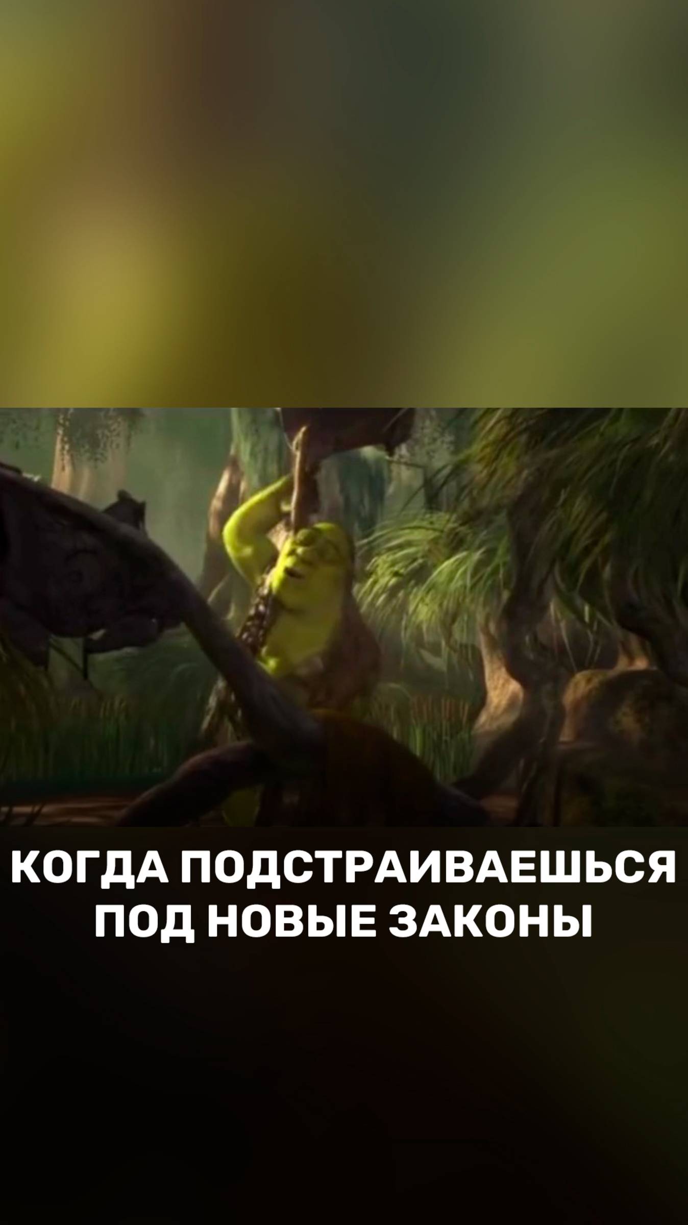 Когда подстраиваешься под новые законы 🐸 смотреть онлайн