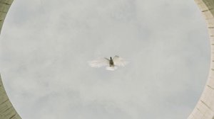 Michael Patrick Kelly - Run Free (Official Music Video)