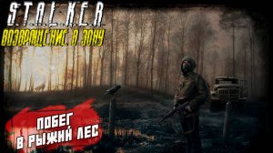ПОБЕГ В РЫЖИЙ ЛЕС ➤ S.T.A.L.K.E.R. Возвращение в Зону #45
