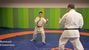 Базовая техника- бункай каратэ  годзю рю
