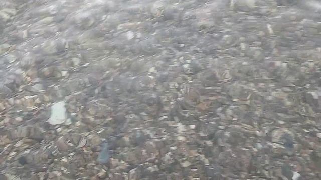 Отдых на Чёрном море в Кабардинке. 2025 год. Вода прозрачная, прохладная, мокрая, удивительная. Утро смотреть онлайн