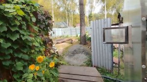 Затопили баньку. Остались с сестрой с ночёвкой.