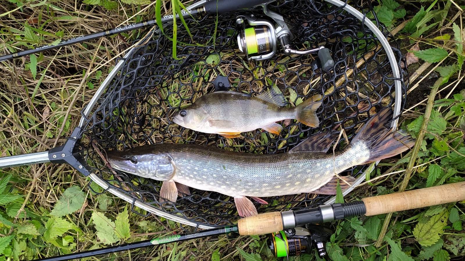 Два участка микро-речки