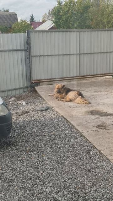 вопрос к зрителям