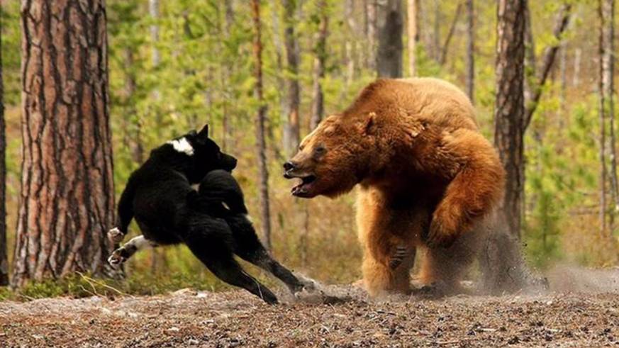 День осеннего равноденствия смотреть онлайн