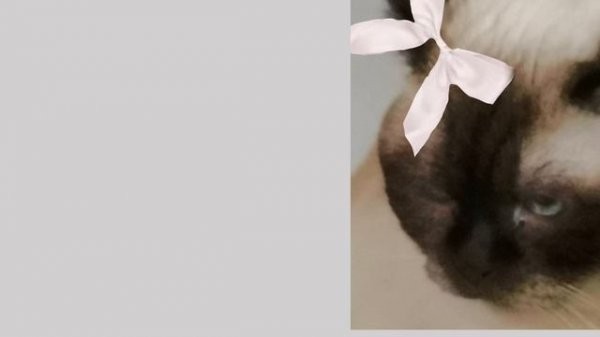 Я потом вернусь в ~Yumi ~