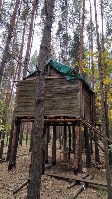 ДОМА на ДЕРЕВЬЯХ
#мыизсамары#доманадеревьях