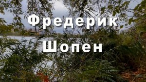 Шопен Фредерик - Ноктюрн до-диез минор. Музыка для души