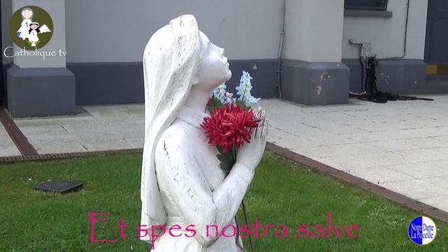 NDLP - Salve Regina смотреть онлайн