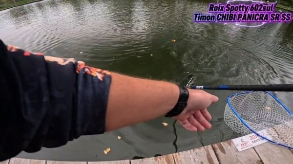 Дочка ловит на Roix Spotty с приманкой Timon Chibi Panicra SR SS