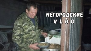 Дождь льёт, свет отключили, а НУТРИЙ кормить надо! 18.09.25