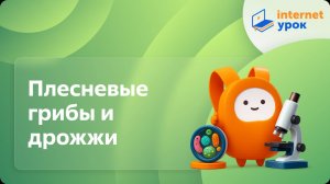 Биология 5 класс. Плесневые грибы и дрожжи