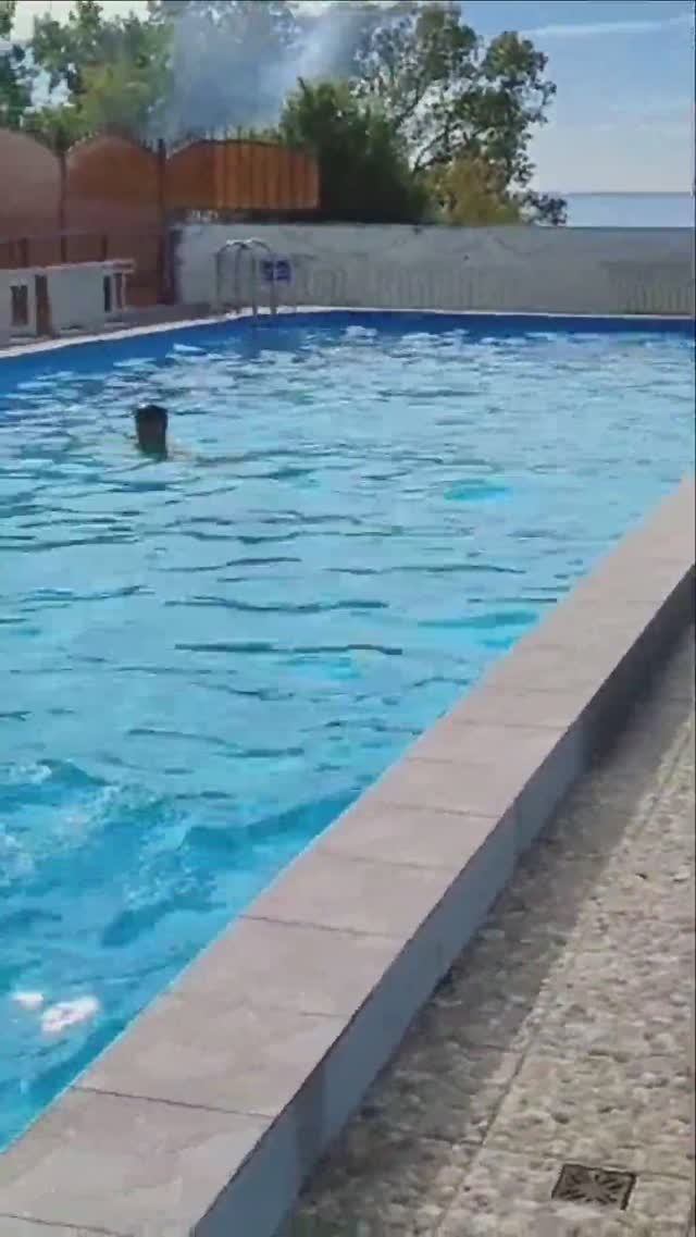 Санаторий Тихий Дон все его бассейны #shorts смотреть онлайн