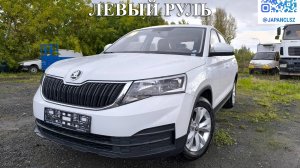 Быстрый обзор Skoda Kamiq Power Edition новый автомобиль