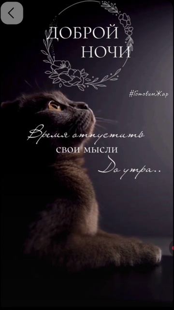 Доброй ночи #Добройночи #рек #яппи #кот #цитаты смотреть онлайн