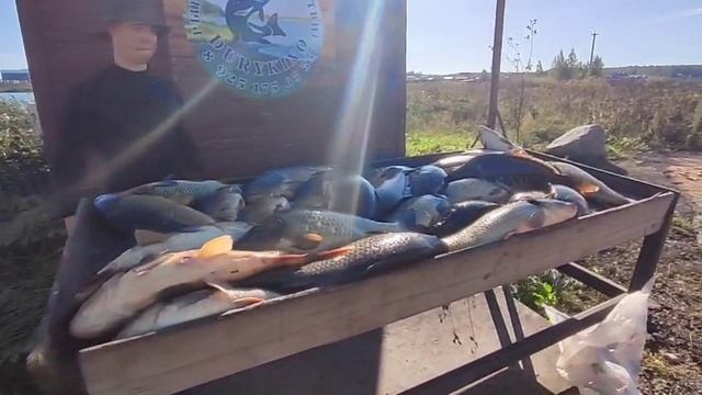 WhatsApp Video 2025-09-22 at 15.09.22 смотреть онлайн