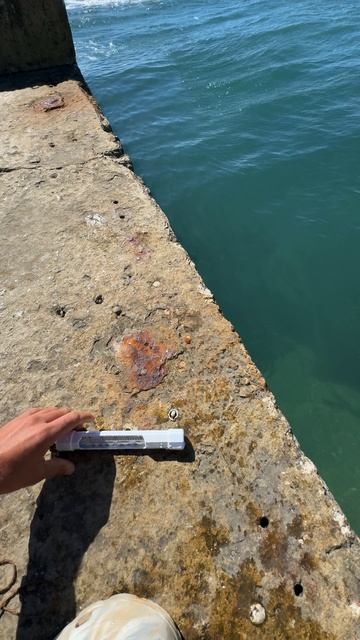 Температура моря сегодня 22.09.2025 Алупка сегодня Крым #алупка #крымсегодня #алупкасегодня смотреть онлайн