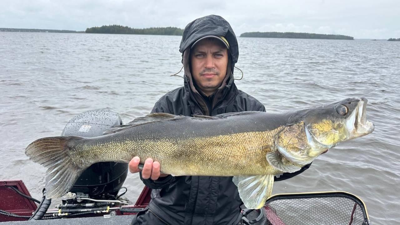 Рыбалка в Карелии.  Ловля трофейной щуки. Ловля трофейного судака 2025