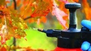 ▶️Обработка сада в сентябре от болезней✔️