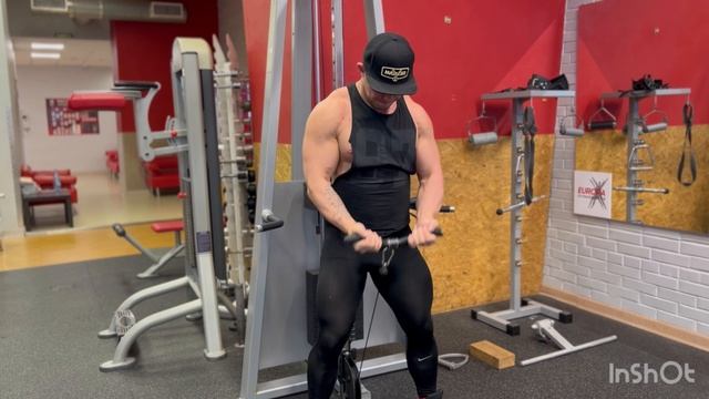 День шестой