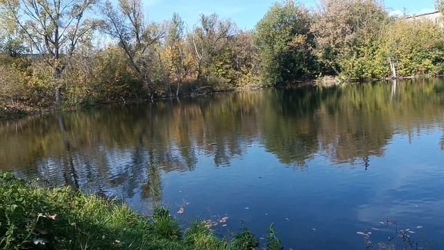 Слушаем душевную песню *ВОРОЖЕЯ*Любимый ШАНСОН. Кормим уточек и голубей. Наш пруд. смотреть онлайн