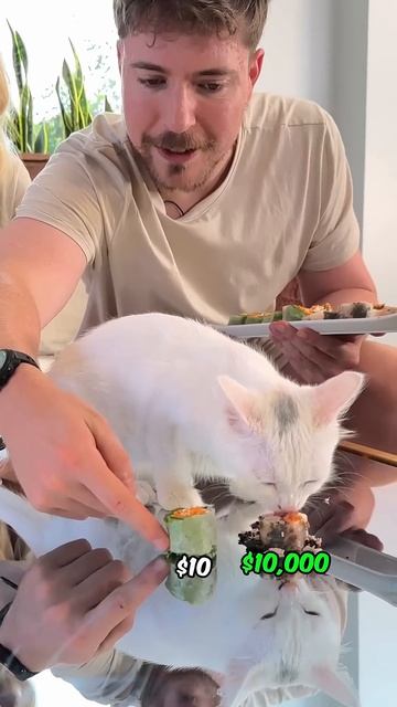 Feeding A Cat $10 Vs $10,000 Sushi