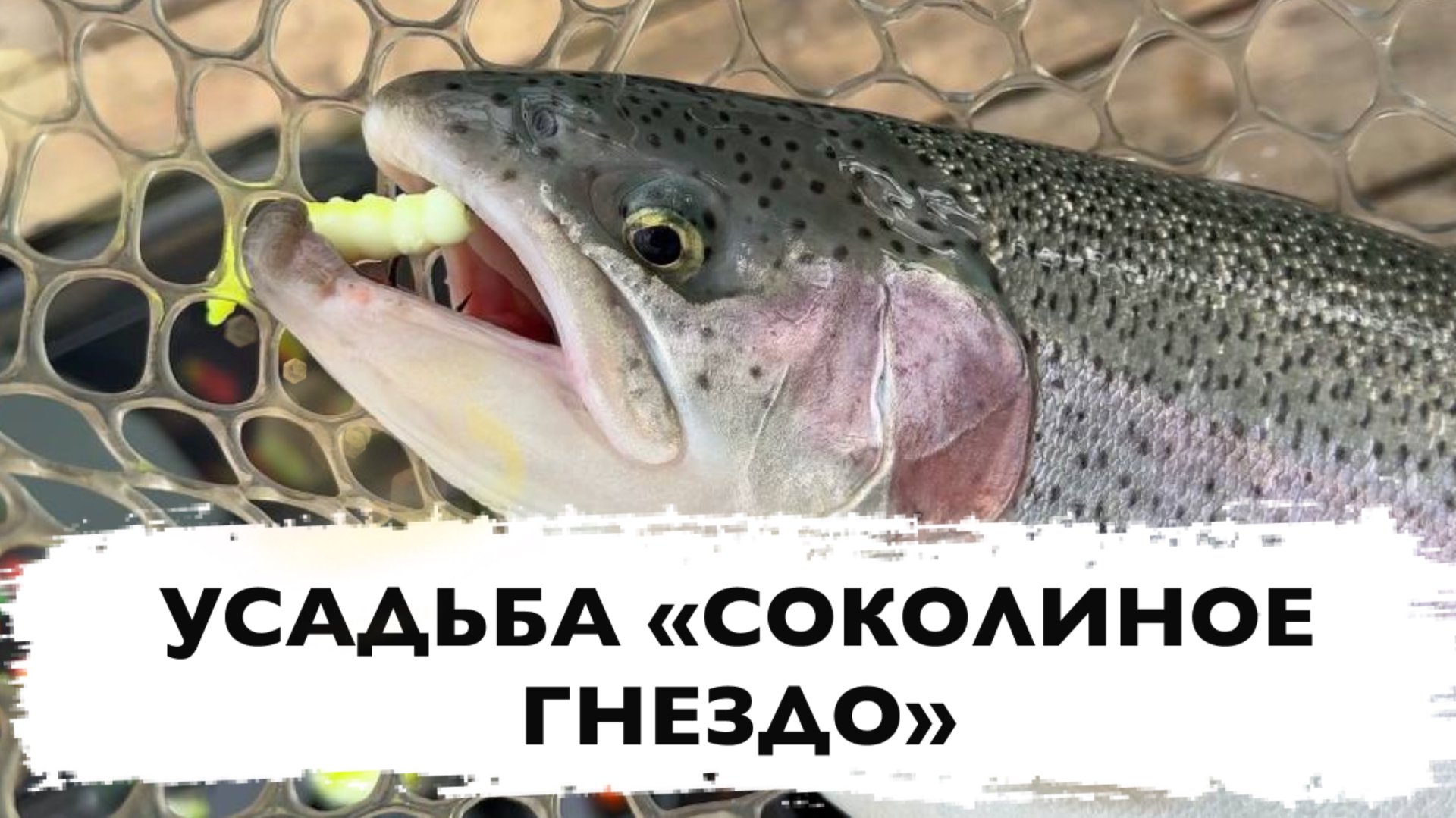 #19 ЛОВЛЯ ФОРЕЛИ НА РЕЗИНУ С ПОВЕРХНОСТИ. РЫБАЛКА НА ФОРЕЛЬ. БИГ ДЖУНИОР РУЛИТ смотреть онлайн