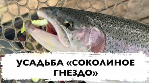 #19 ЛОВЛЯ ФОРЕЛИ НА РЕЗИНУ С ПОВЕРХНОСТИ. РЫБАЛКА НА ФОРЕЛЬ. БИГ ДЖУНИОР РУЛИТ