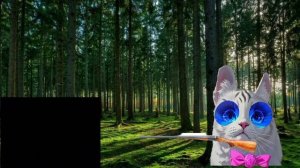 99 ночей в лесу 1 серия